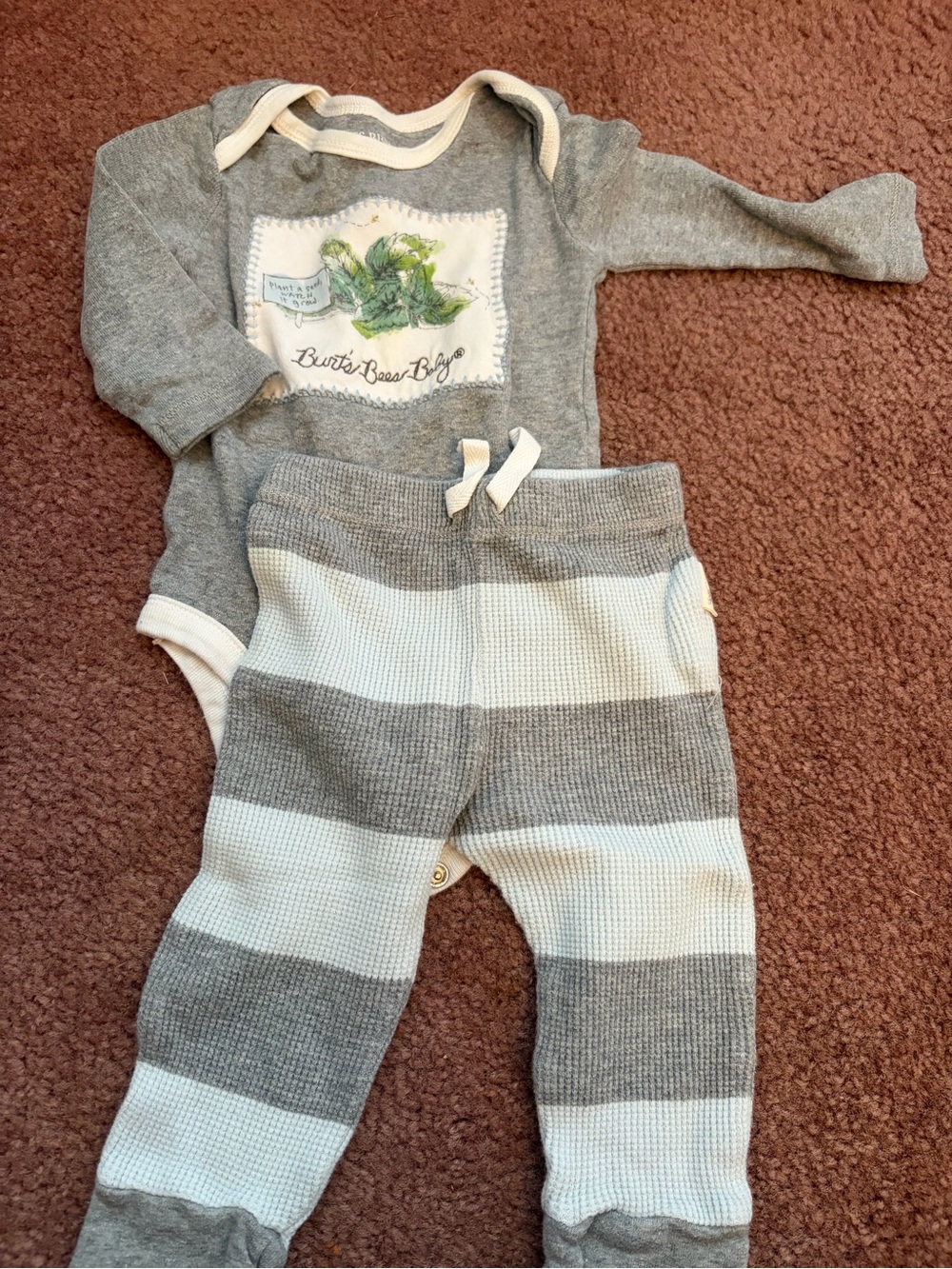 Burt's Bees Baby Gray and Cream Stripe Jogger Set